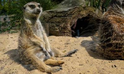 Panorama der Stadt Rostock - Zentrum für qualitative häusliche Betreuung und Pflegedienste